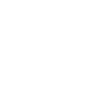 RIOT LOGO